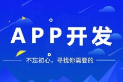 開發(fā)一個app多少錢？