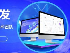 模板和定制商城APP開發(fā)費用需要多少錢？