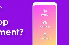 為什么要定制APP開發(fā)，APP開發(fā)定制的好處？